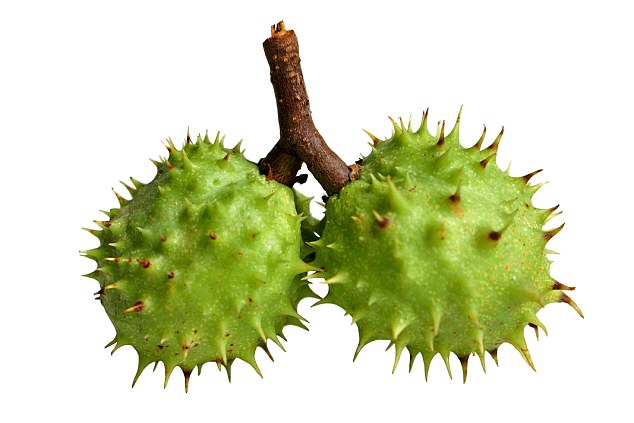 Yvonne, standing naked on a terrace looking out to the Ocean